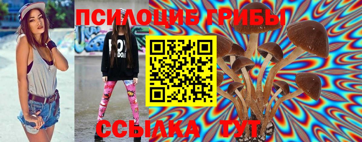 Семёнов  Псилоцибиновые грибы Psilocybe  наркотики  Вход с VPN 